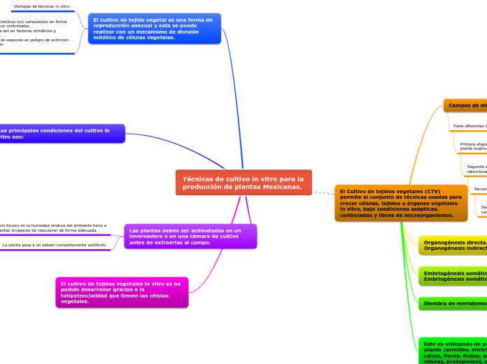 Técnicas de cultivo in vitro para la pr...- Mapa Mental