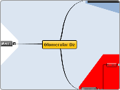 Glomerular Dz