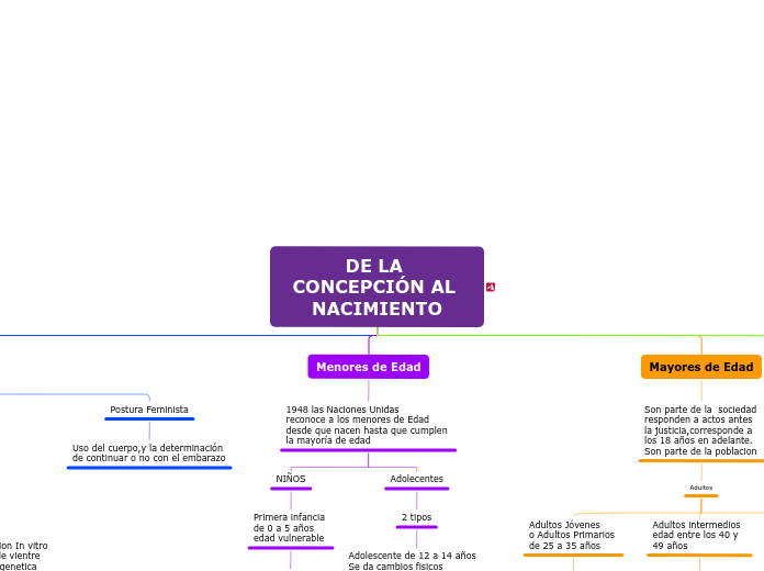 DE LA CONCEPCIÓN AL NACIMIENTO - Mapa Mental