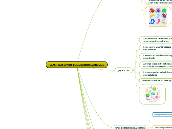 CLASIFICACIÓN DE LOS MICROORGANISMOS