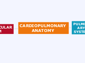 CARDIOPULMONARY
ANATOMY - Mind Map