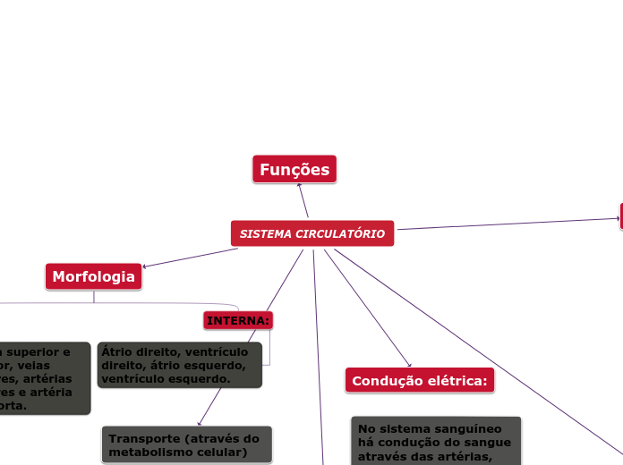 SISTEMA CIRCULATÓRIO