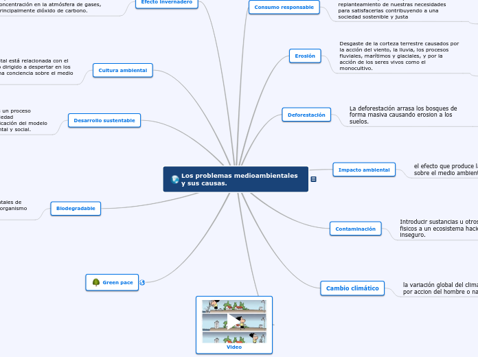 Los problemas medioambientales y sus causas
