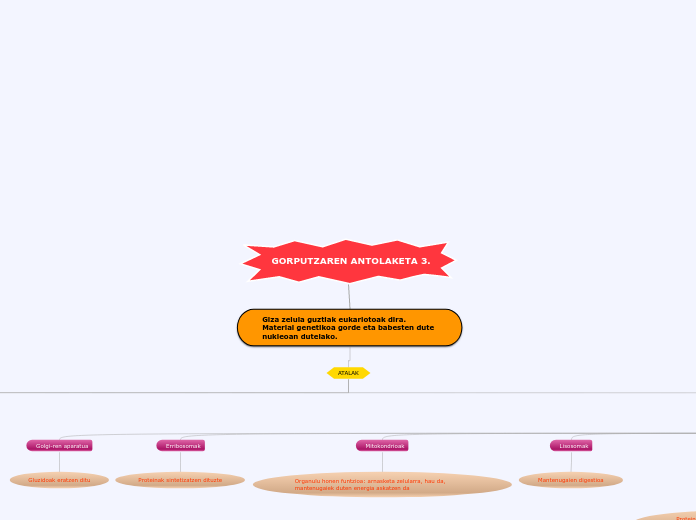 GORPUTZAREN ANTOLAKETA 3. - Mind Map