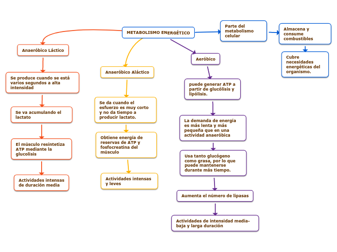 METABOLISMO ENERGÉTICO