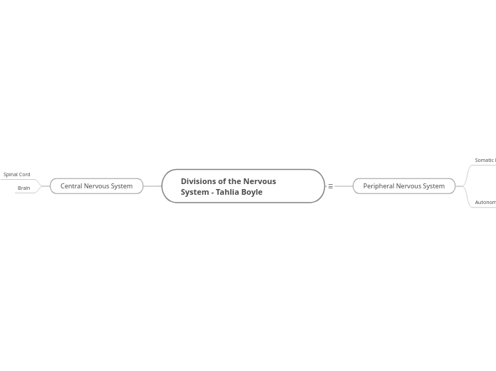 Divisions of the Nervous System - Tahlia Boyle