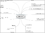 SUFIYAN - Mind Map