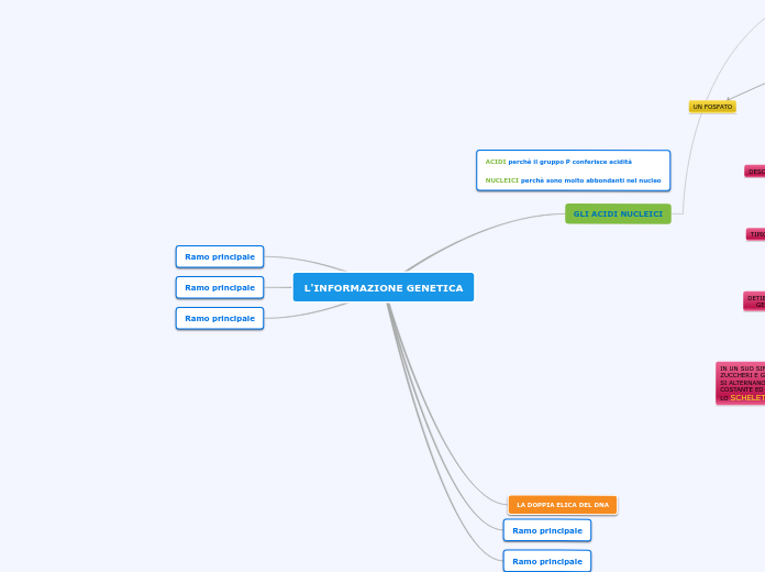 L'INFORMAZIONE GENETICA