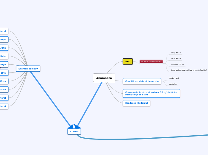 Anamneza - Hartă mentală