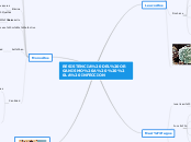 RESISTENCIA DEL ORGANISMO A   LA INFECC...- Mapa Mental