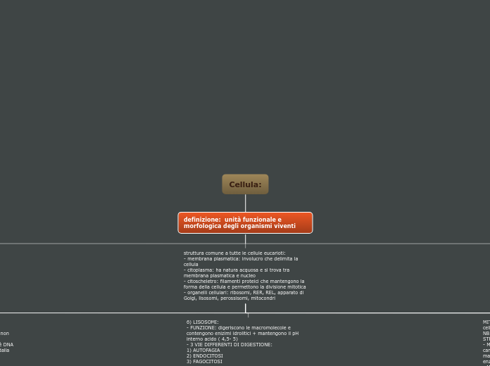 Cellula: - Mappa Mentale