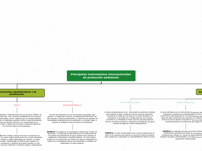 Principales instrumentos internacionale...- Mapa Mental