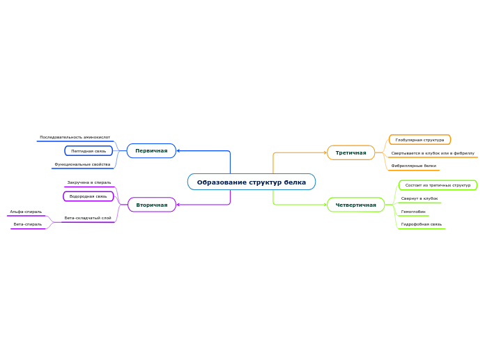 Образование структур белка - Мыслительная карта