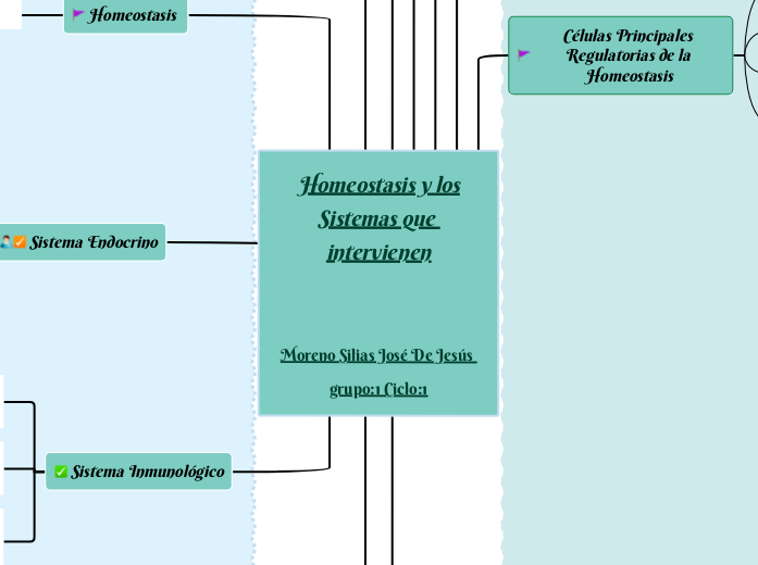 Homeostasis y los
Sistemas que intervie...- Mapa Mental