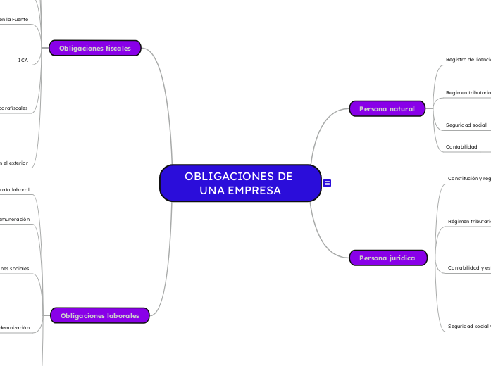 obligaciones de una empresa (explica cada una): persona natural persona juridica obligaciones fiscales laborales (explica cada una): contrato laboral, remuneracion, prestaciones sociales, indemnizac