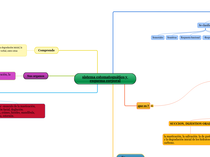 sistema estomatognático y esquema corporal
