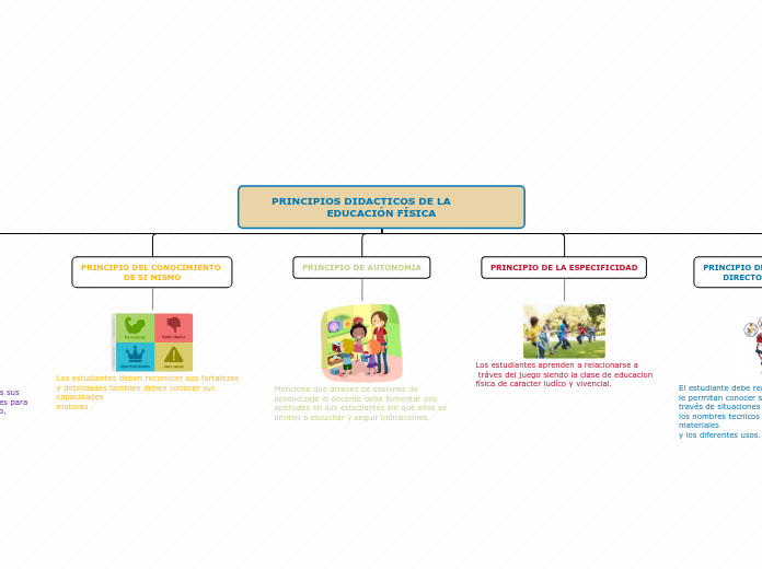 PRINCIPIOS DIDACTICOS DE LA            EDUCACIÓN FÍSICA