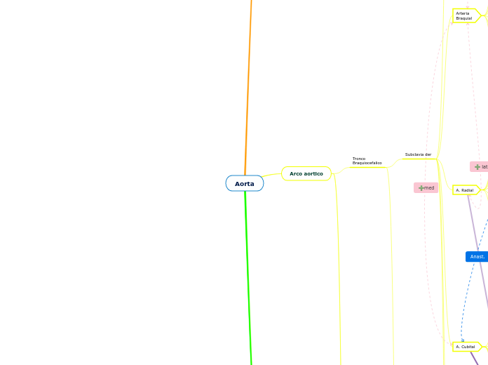 Aorta - Mapa Mental