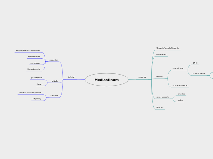 Mediastinum