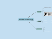 BURBUJA INMOBILIARIOA - Mind Map