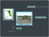 mapa conceptual las caldenitas