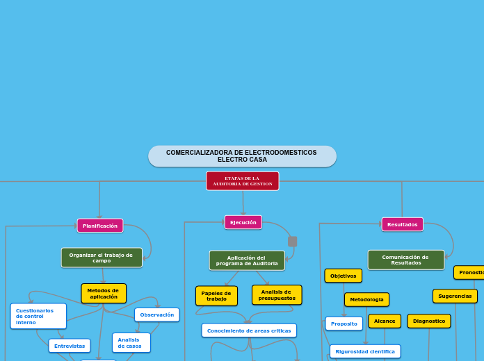 ETAPAS DE LA AUDITORIA DE GESTION