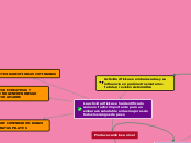 Actividad física en embarazadas y su in...- Mapa Mental