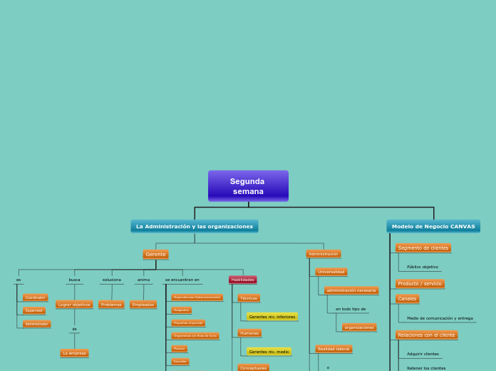 Segunda semana - Mapa Mental