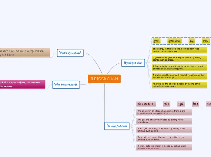 Create a food chain and food web of any habitat