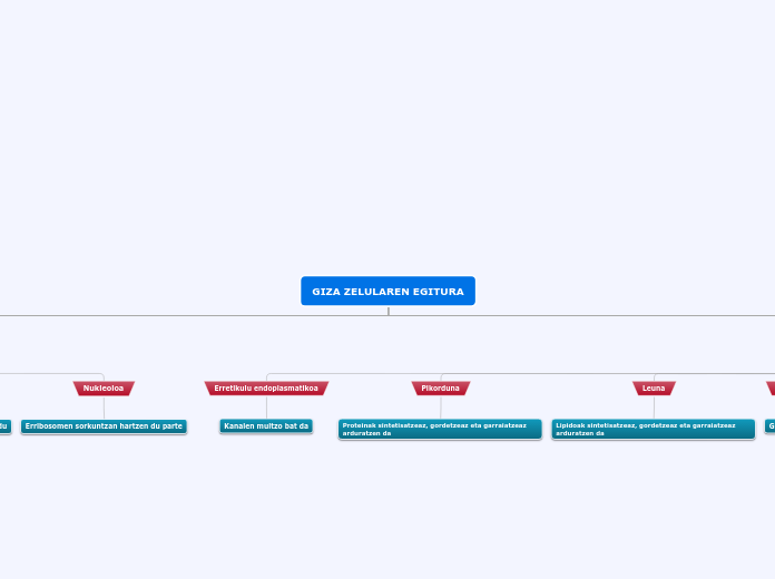 GIZA ZELULAREN EGITURA - Mind Map