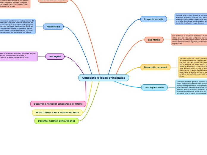 Concepto e ideas principales