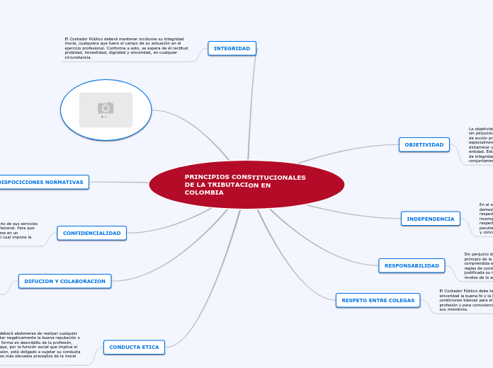 PRINCIPIOS CONSTITUCIONALES DE LA TRIBU...- Mapa Mental