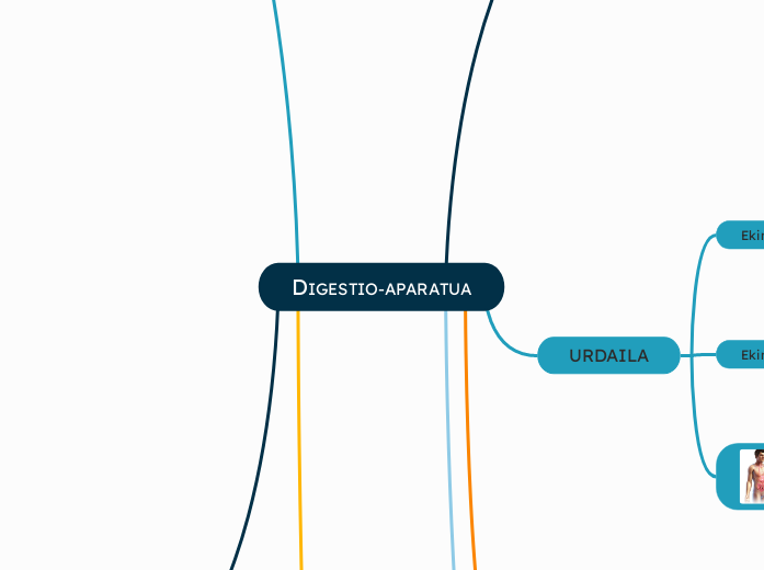 DIGESTIO-APARATUA