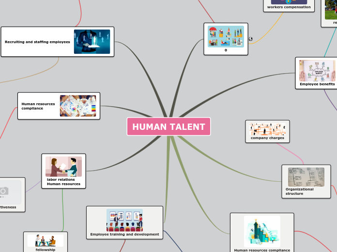 HUMAN TALENT