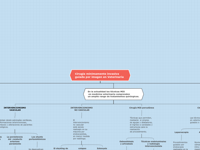 Cirugía mínimamente invasiva guiada por...- Mapa Mental