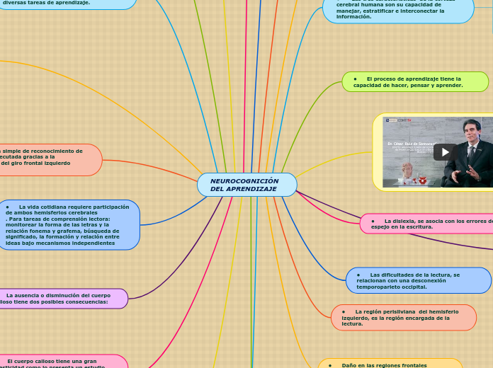NEUROCOGNICIÓN DEL APRENDIZAJE