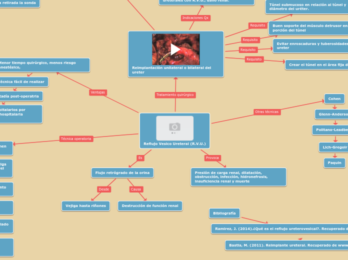 Reflujo Vesico Ureteral (R.V.U.) - Mapa Mental
