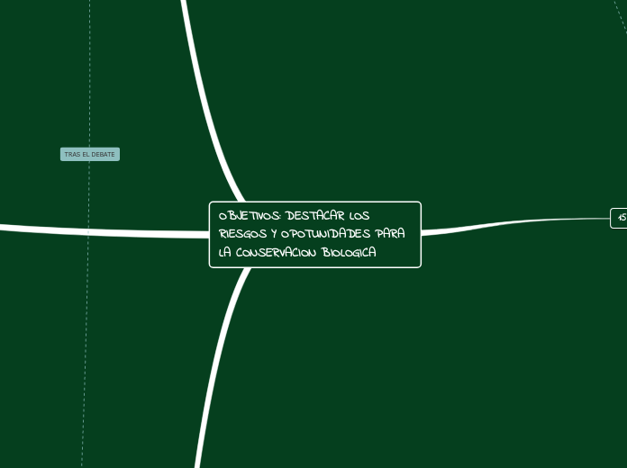 OBJETIVOS: DESTACAR LOS RIESGOS Y OPOTU...- Mapa Mental