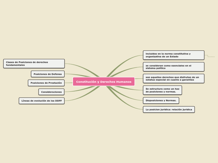 Constitución y Derechos Humanos