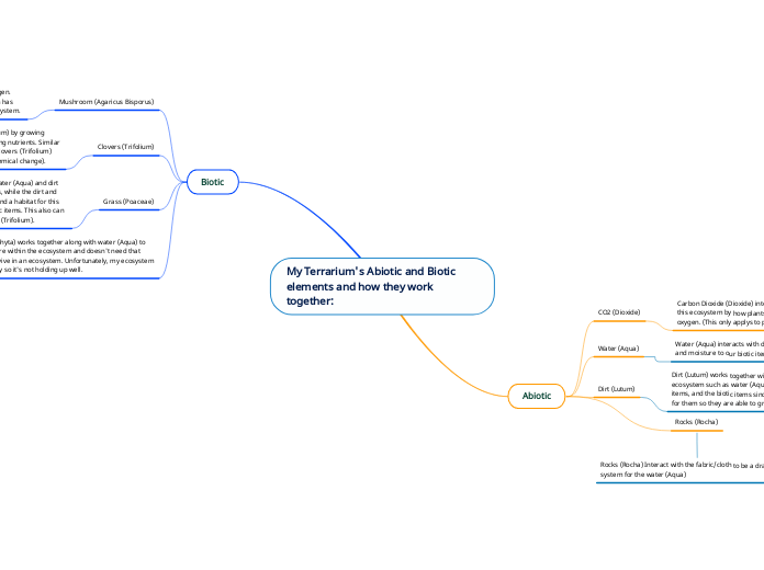 My Terrarium's Abiotic and Biotic elements and how they work together: