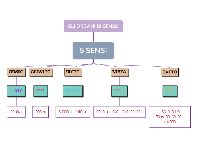 GLI ORGANI DI SENSO