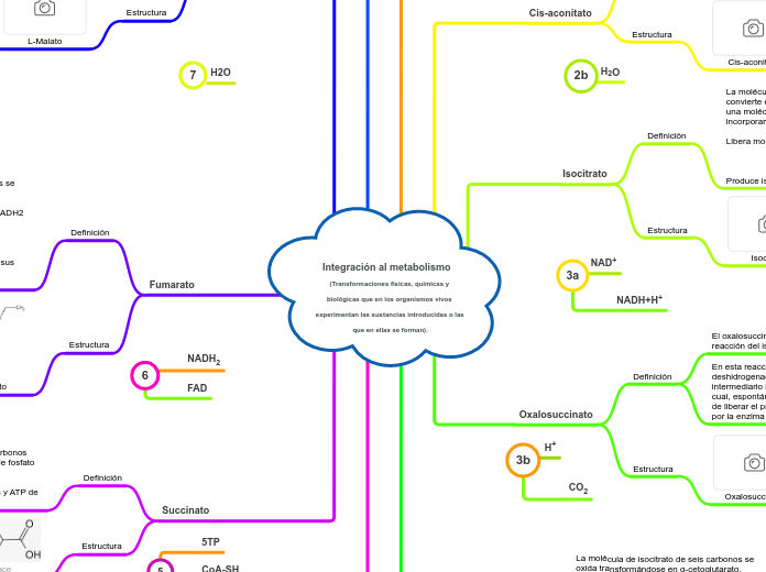 Integración al metabolismo  (Transformaciones físicas, químicas y biológicas que en los organismos vivos experimentan las sustancias introducidas o las que en ellas se forman).