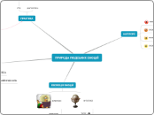 Sample Mind Map