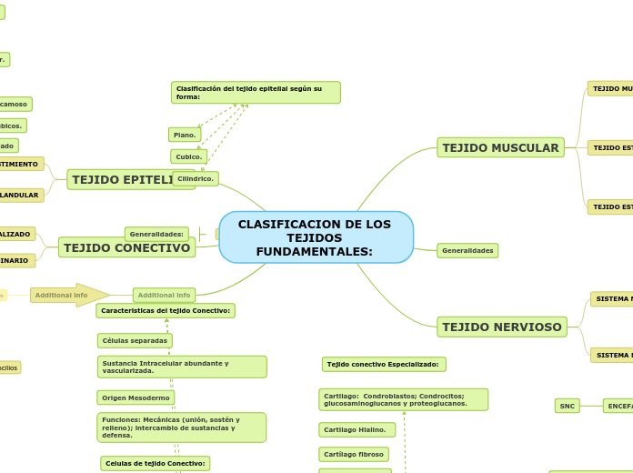 CLASIFICACION DE LOS TEJIDOS FUNDAMENTALES II