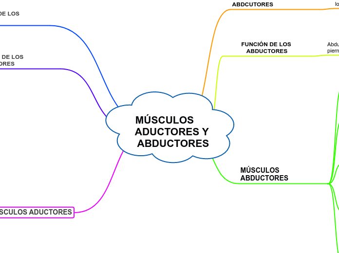 MÚSCULOS      ADUCTORES Y ABDUCTORES