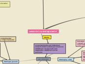 campo de la psicologia social - Mapa Mental