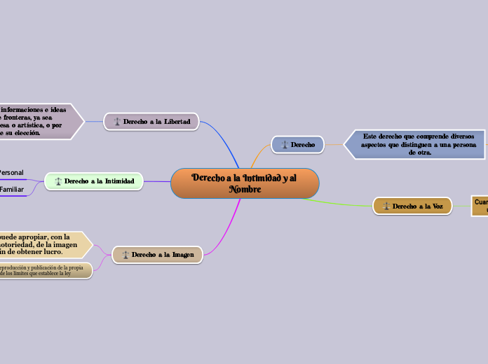 Derecho a la Intimidad y al Nombre