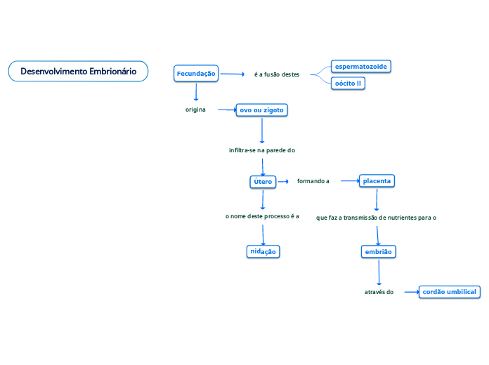 Desenvolvimento Embrionário