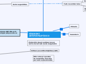 SÍNDROME ANTIFOSFOLIPÍDICO - Mapa Mental