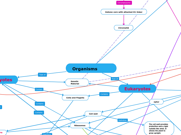  Organisms